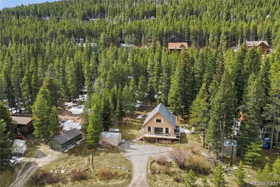 201 Silver Creek Road, Idaho Springs, CO 80452 - #2