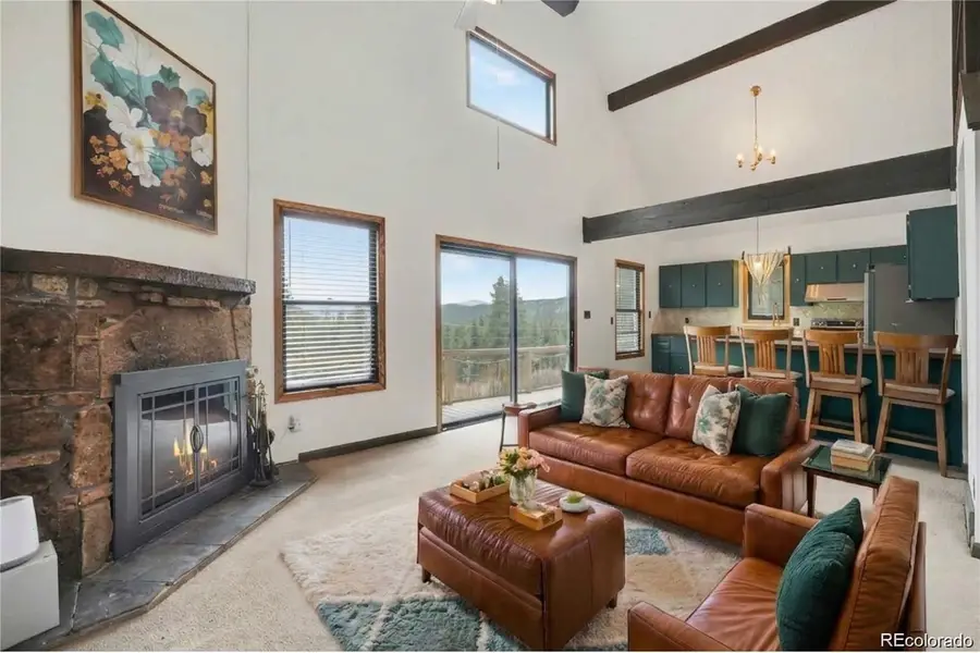 201 Silver Creek Road, Idaho Springs, CO 80452 - #3