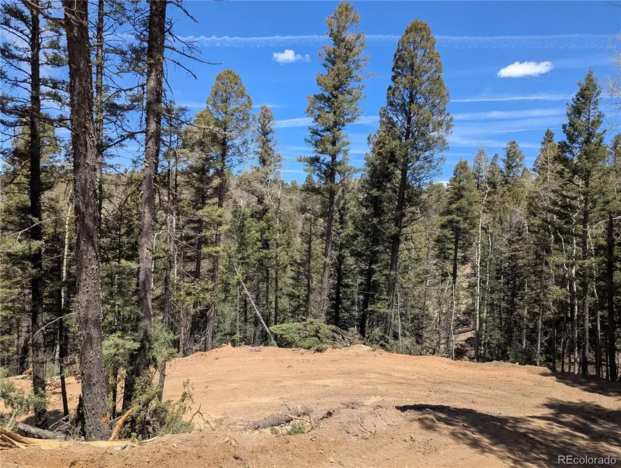 5653 Balleroy Road, Fort Garland, CO 81133 - Image #3