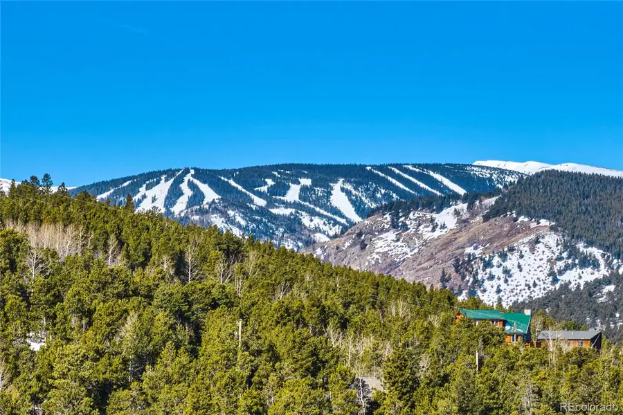 71 Pinecliff Trail, Nederland, CO 80466 - #3