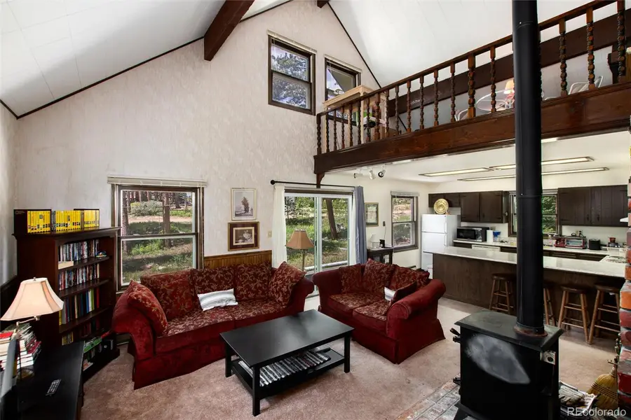 178 Elk Road, Idaho Springs, CO 80452 - #3