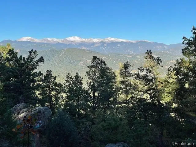 25187 Stanley Park Road, Evergreen, CO 80439 - #3