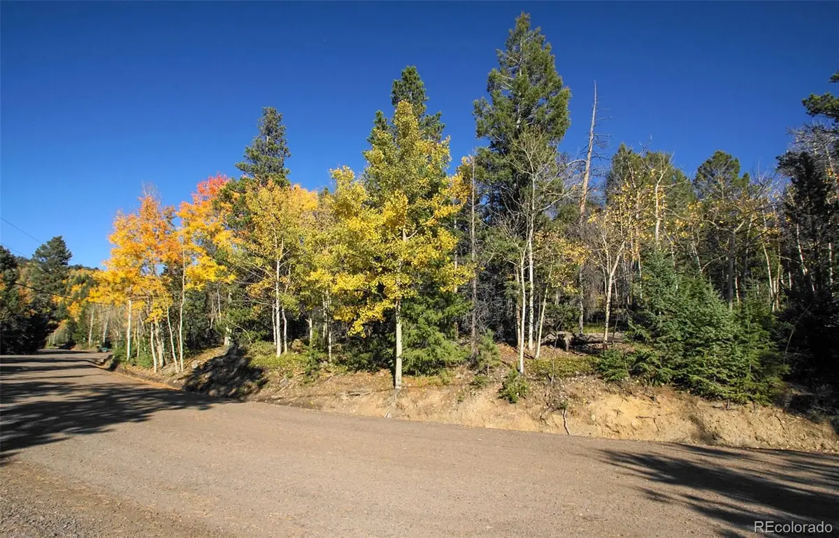 11637 Leavenworth Drive, Conifer, CO 80433 - Image #1