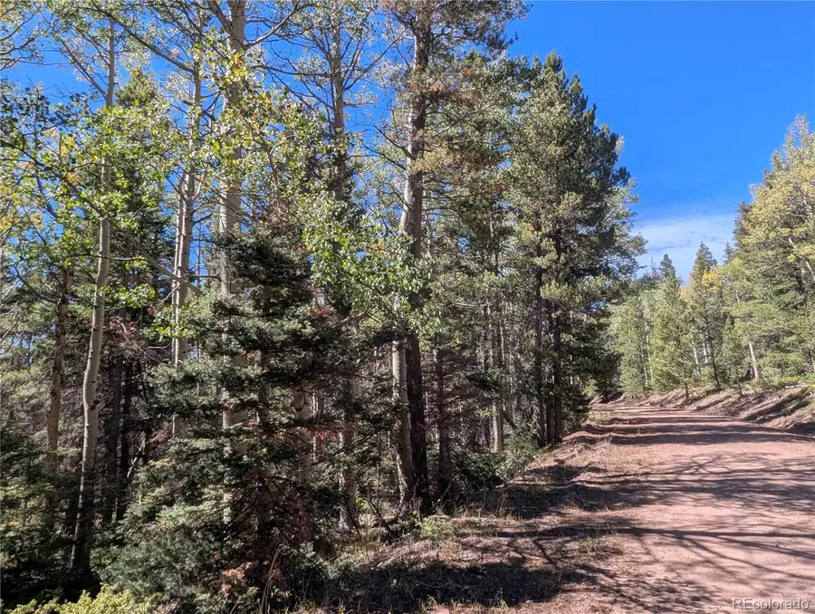 3244 Zipf, Fort Garland, CO 81133 - #2