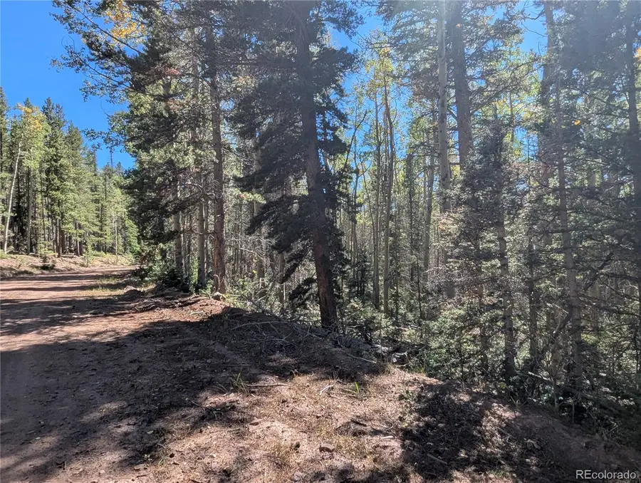 3244 Zipf, Fort Garland, CO 81133 - #3