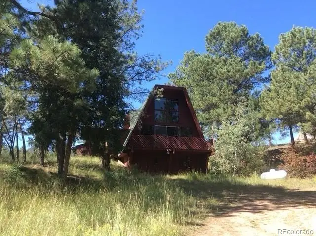 19221 S Buffalo Creek Road, Pine, CO 80470 - #1