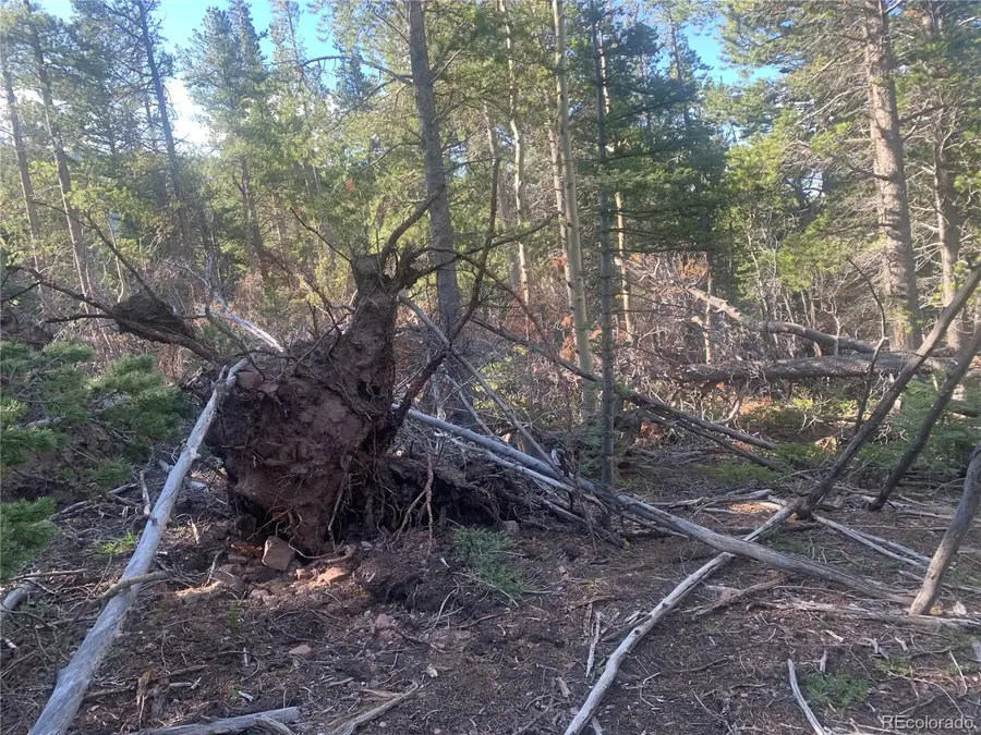 3207 Vaughn Lane, Fort Garland, CO 81133 - #3