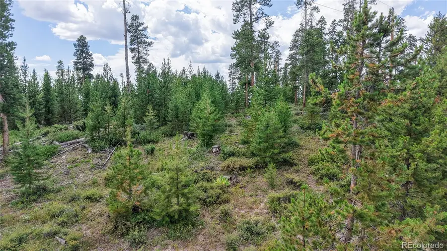 90 County Road 452, Grand Lake, CO 80447 - #3