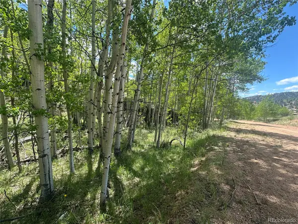 524 Buckhorn Road, Cripple Creek, CO 80813