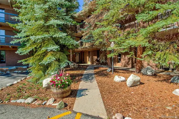 222 Creekside Drive #317, Frisco, CO 80443