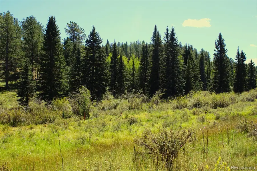 6500 Cr 5, Divide, CO 80814 - Image #2