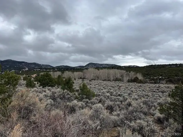 Lot 2242 Slegers Road, Fort Garland, CO 81133 - Image #3