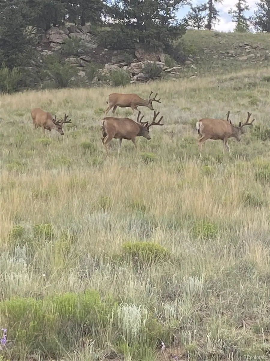 1460 Breton Circle, Jefferson, CO 80456 - #2