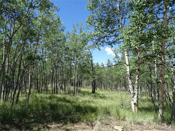 782 Bowstring Road, Como, CO 80432