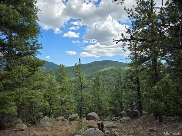 222 Blue Spruce Road, Divide, CO 80814