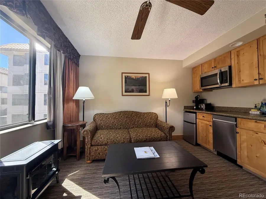 6 Emmons Road #379/381, Mount Crested Butte, CO 81225 - Image #2