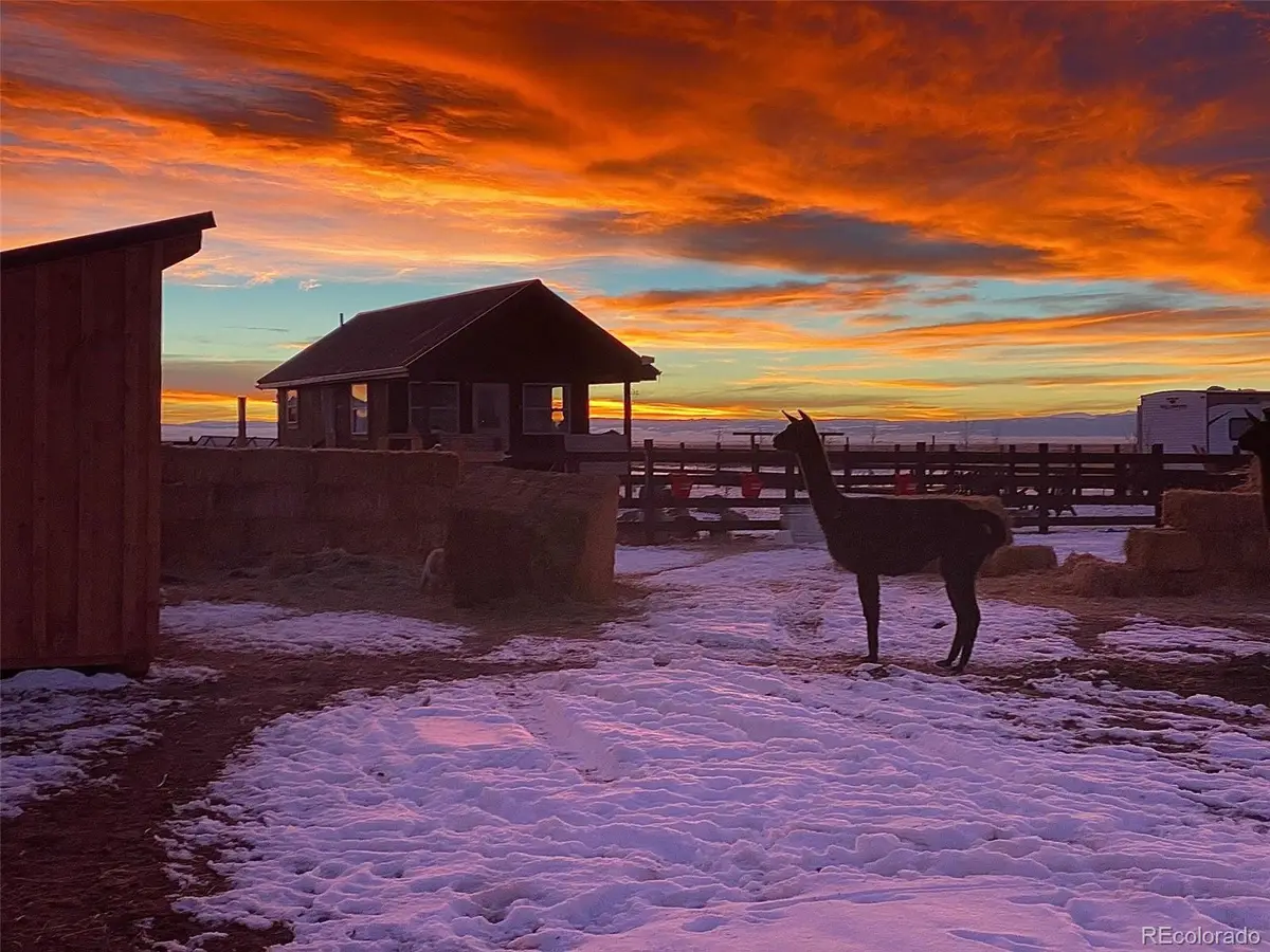 27028 Garo Park Drive, Blanca, CO 81123 - #1