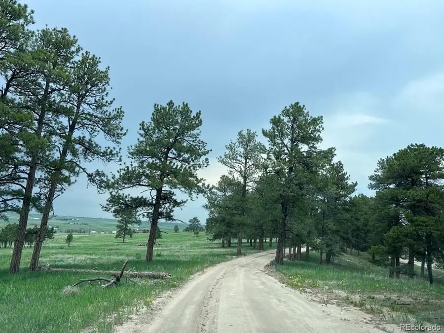 4560 County Road 114, Elizabeth, CO 80107 - #3