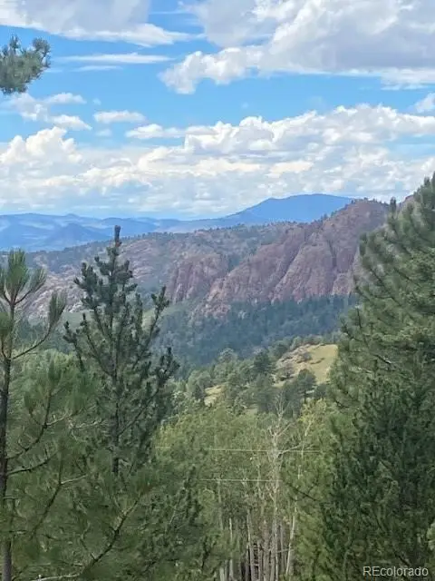 216 & 252 Troy Drive, Cripple Creek, CO 80813 - #1