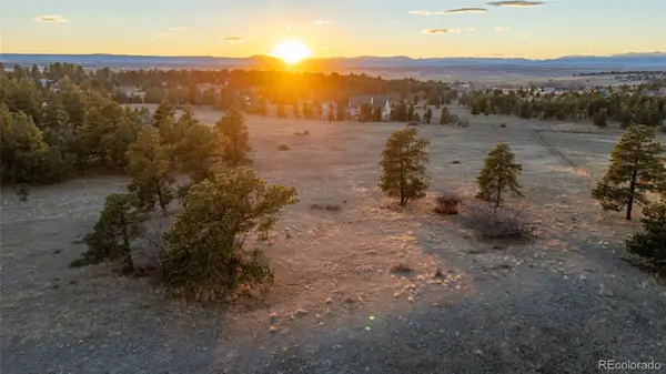 10421 Remmick Ridge Road, Parker, CO 80134