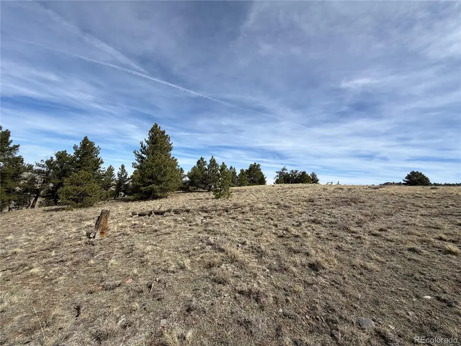 990 Coyotero Trail, Hartsel, CO 80449 - #2