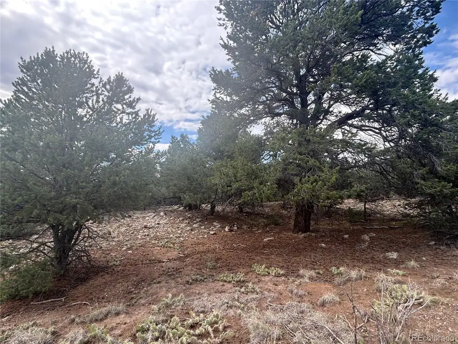 1661 Willow Creek Way, Crestone, CO 81131 - #3