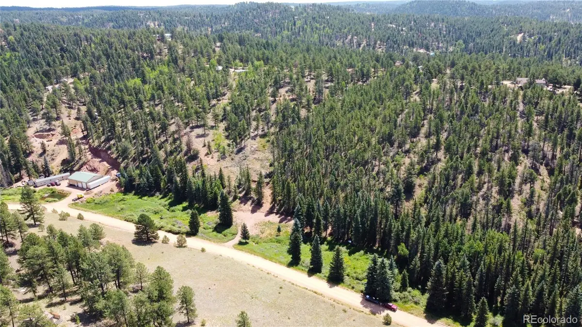 1570 Pathfinder Road, Florissant, CO 80816 - #1