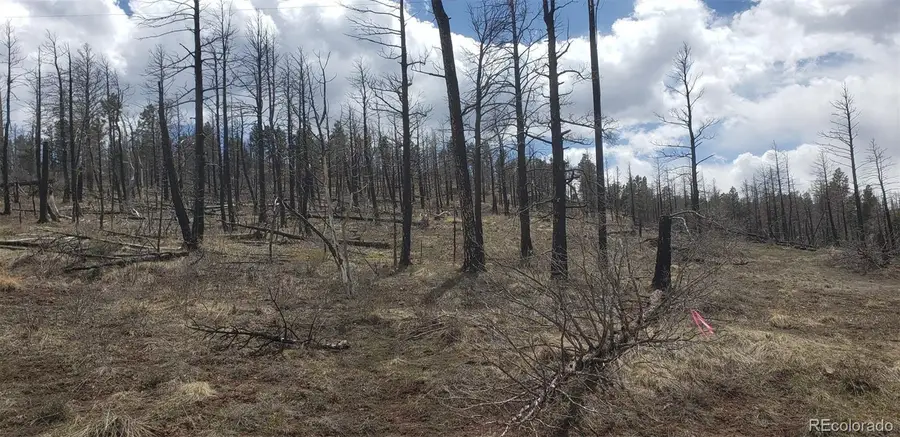 Lot 179 Duffy Lane, Fort Garland, CO 81133 - Image #2