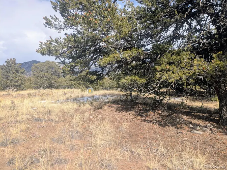 1463 Highwood, Crestone, CO 81131 - Image #3