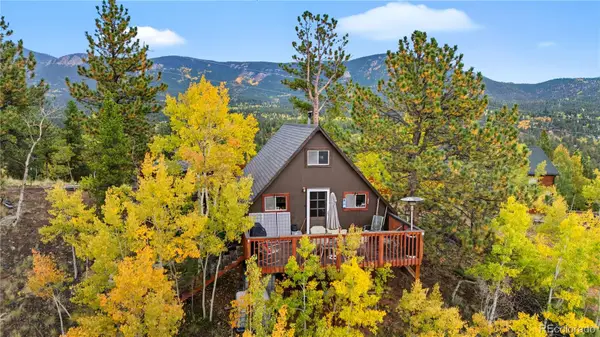 229 Mcdougal Road, Bailey, CO 80421