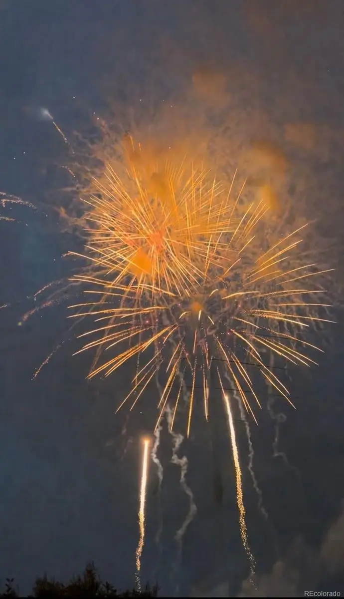 4725 W 128th Place, Broomfield, CO 80020 - #3