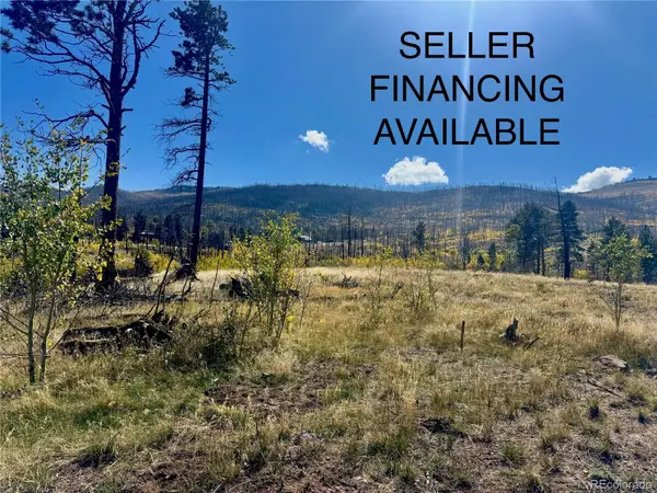 lot 1005 Foy Place, Fort Garland, CO 81133