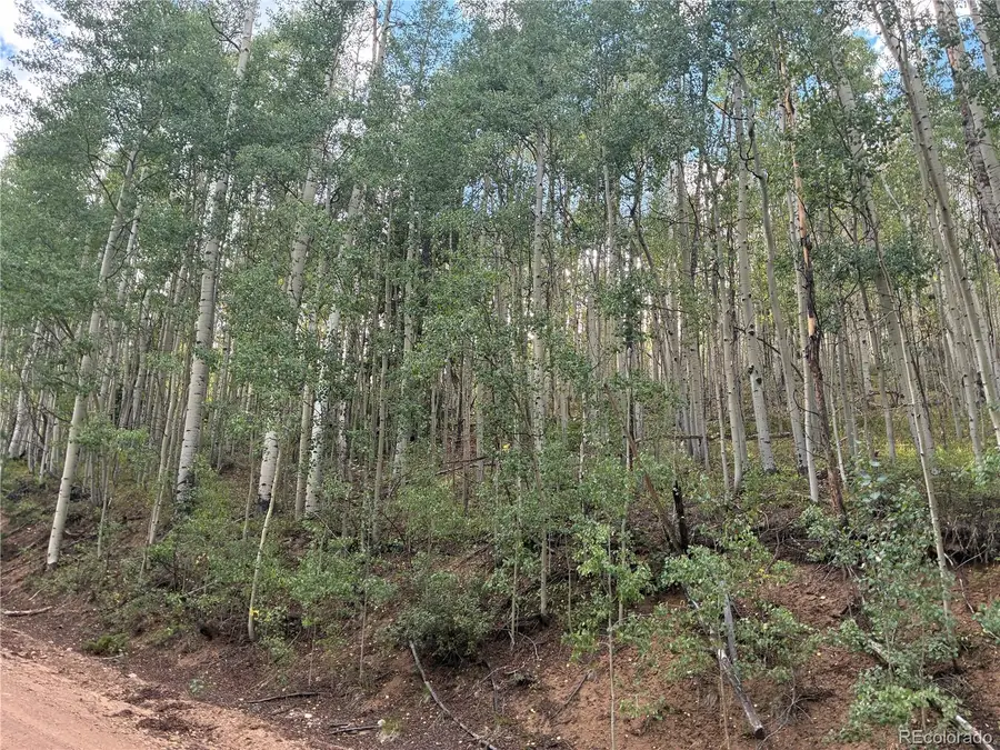 LOT 5835 Slegers, San Luis, CO 81152 - #3