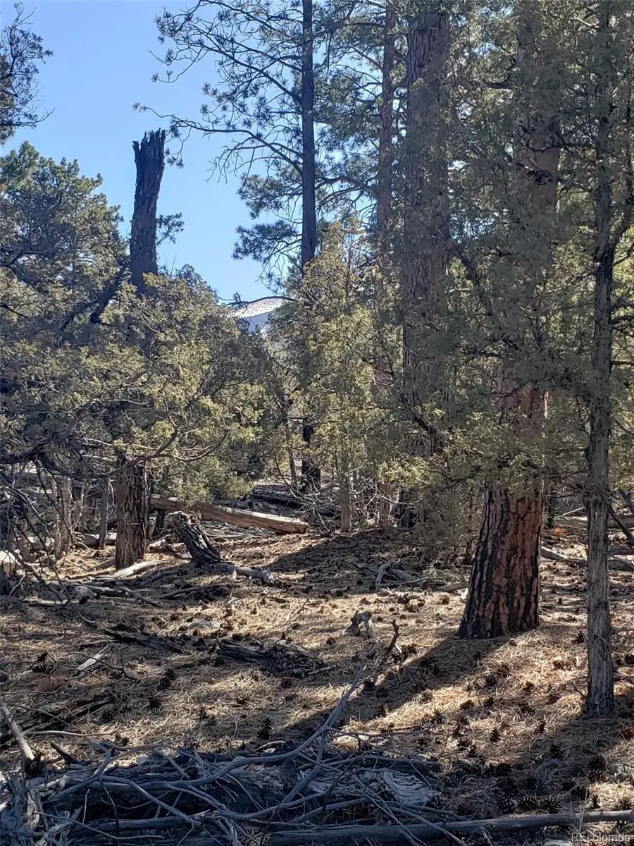 Tract 2 Costilla Place, Mosca, CO 81146 - Image #2