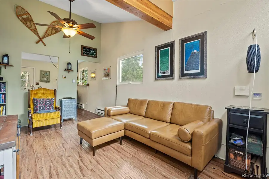 388 Saw Mill Lane, Idaho Springs, CO 80452 - #2