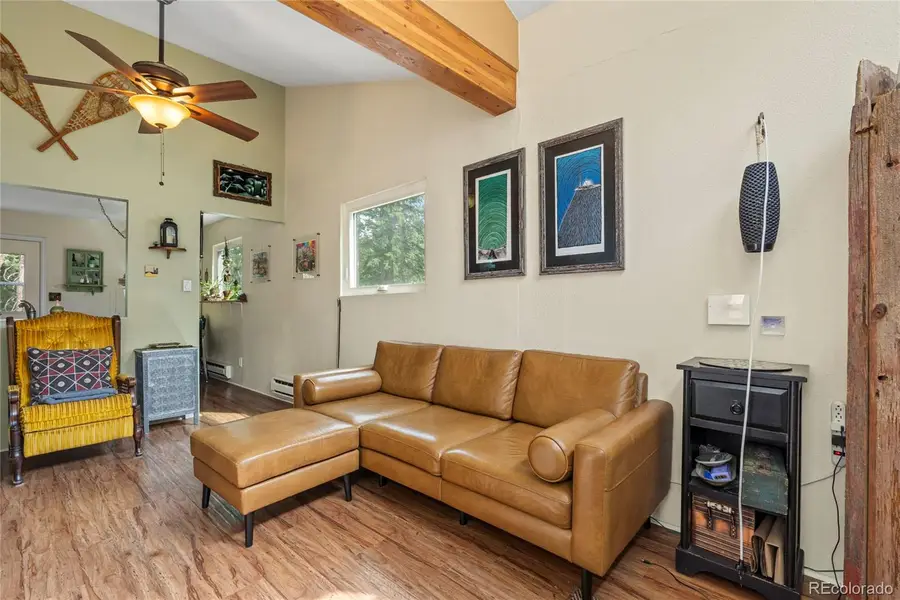 388 Saw Mill Lane, Idaho Springs, CO 80452 - #3