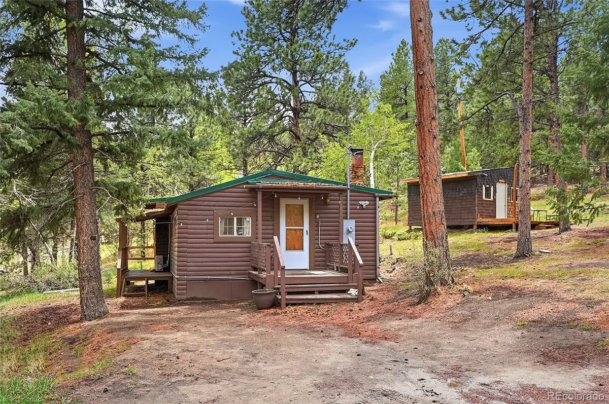 14032 S Olive Avenue, Pine, CO 80470 - #1