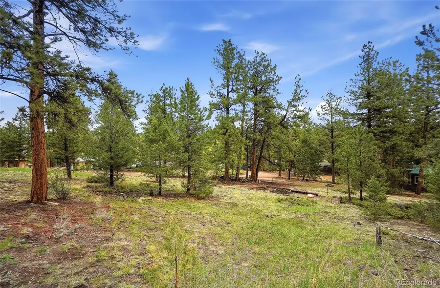 14032 S Olive Avenue, Pine, CO 80470 - #3