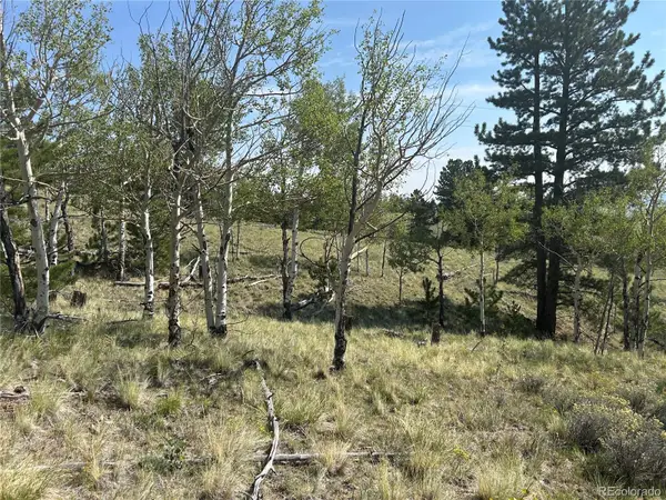 11414 Ranch Road, Hartsel, CO 80449