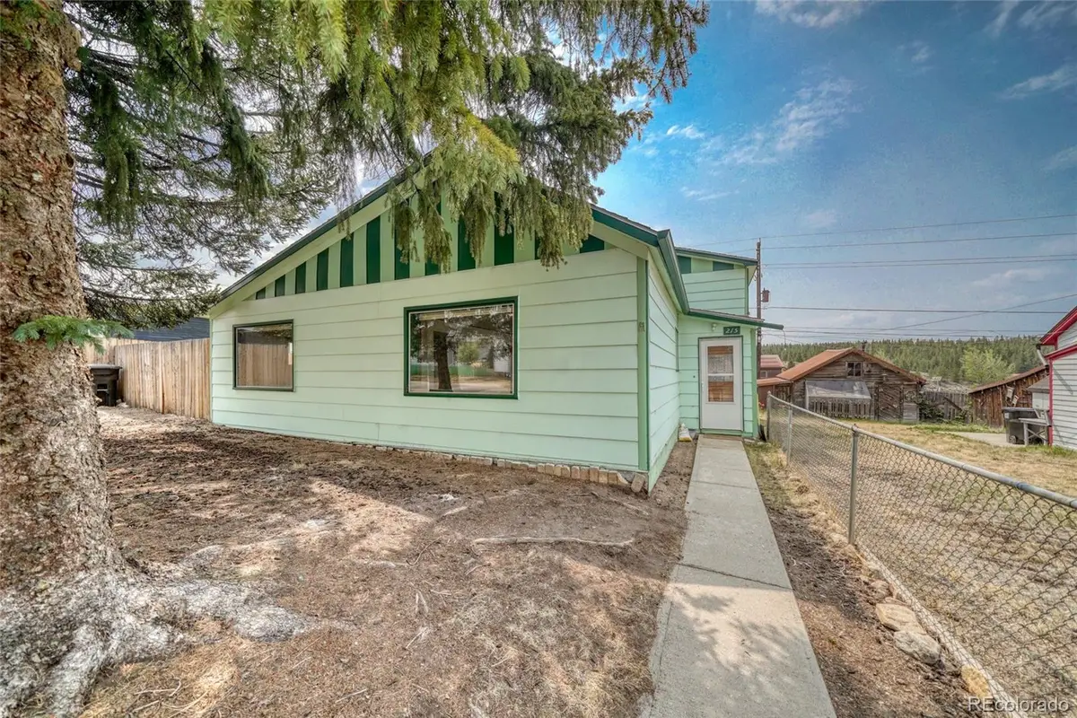 215 Elm Street, Leadville, CO 80461 - #1