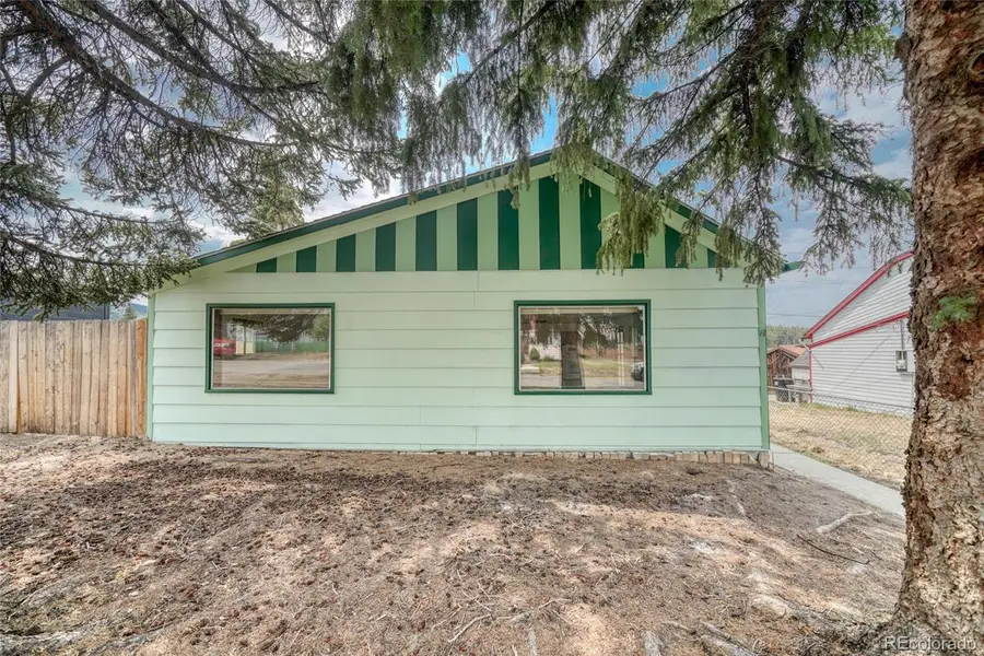 215 Elm Street, Leadville, CO 80461 - #2
