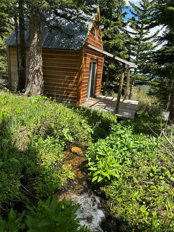 Hilltop Road, Idaho Springs, CO 80452