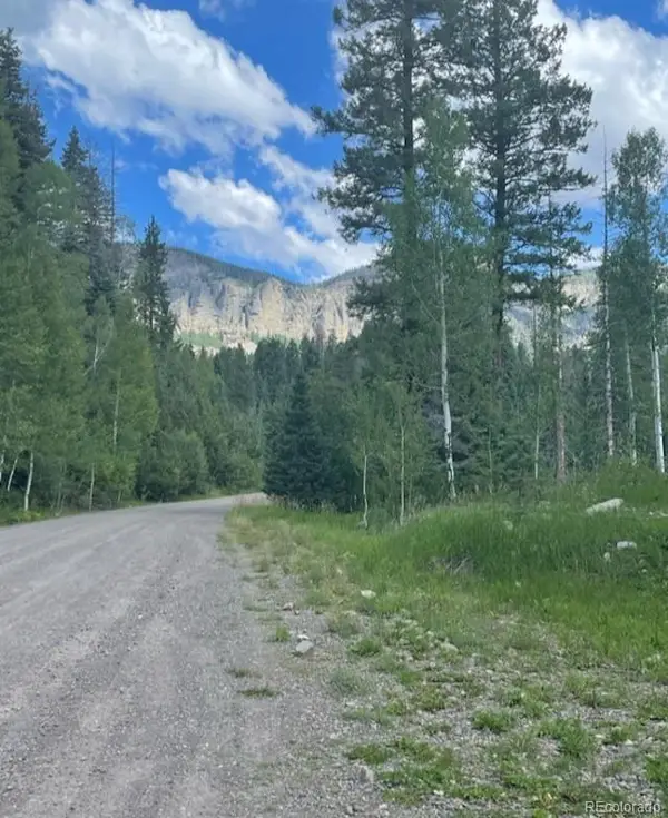 207 Camp Robber Drive, Creede, CO 81130