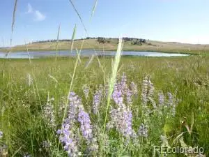 2352 Benton Place, Fort Garland, CO 81133 - Image #2