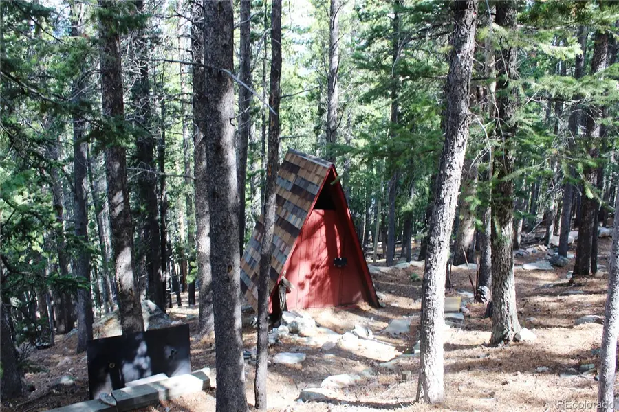 3504 Hidden Wilderness Road, Idaho Springs, CO 80439 - #2