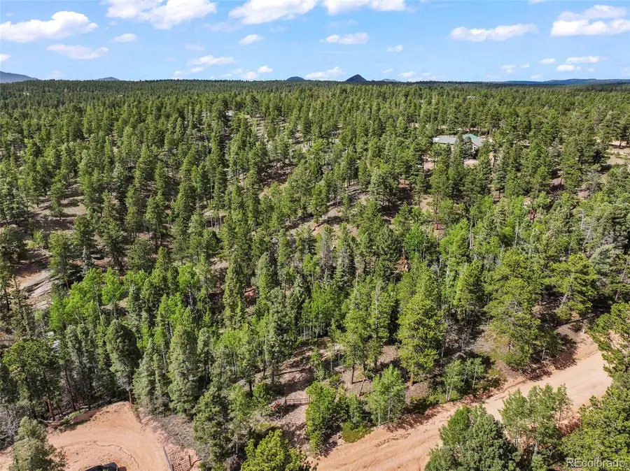 65 Spruce Creek Road, Divide, CO 80814 - Image #2