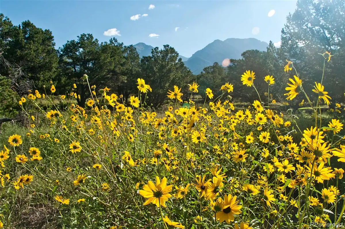 1195 Hilltop Way, Crestone, CO 81131 - #1