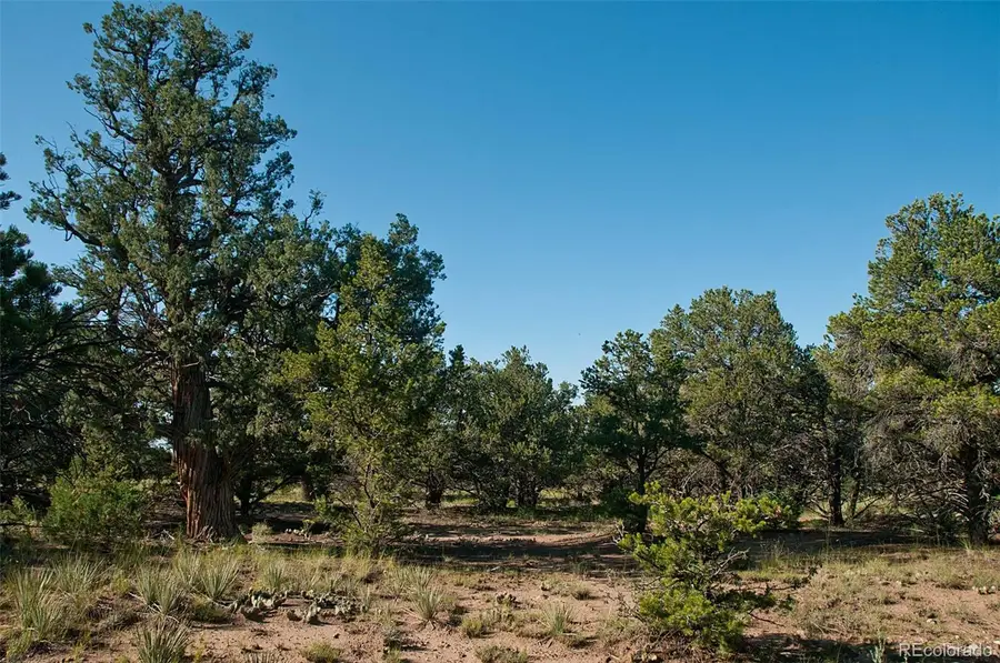 1195 Hilltop Way, Crestone, CO 81131 - #2