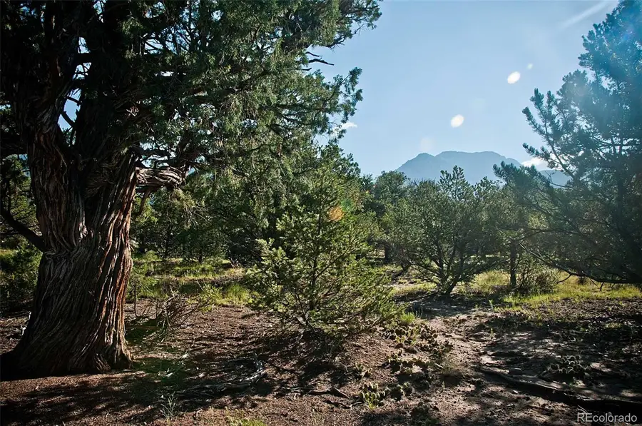 1195 Hilltop Way, Crestone, CO 81131 - #3