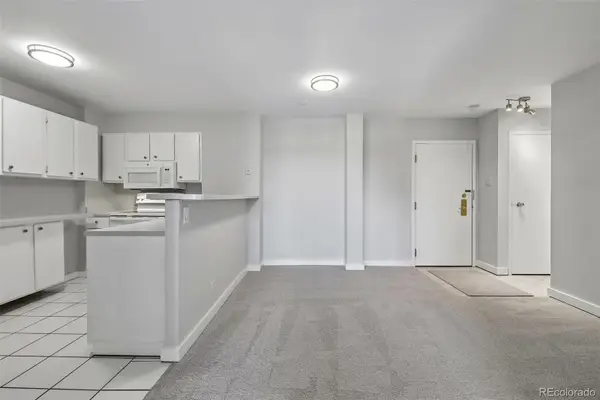 480 S Marion #902, Denver, CO 80209